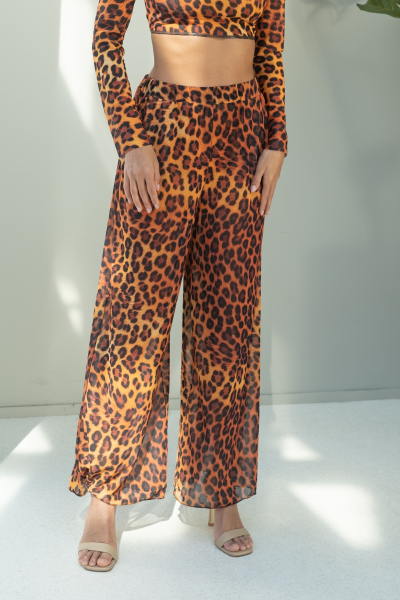 1_BBBSPFPAJULY25LGCBRW_MCLTIV1ZS_2025378563001_20240902140808569